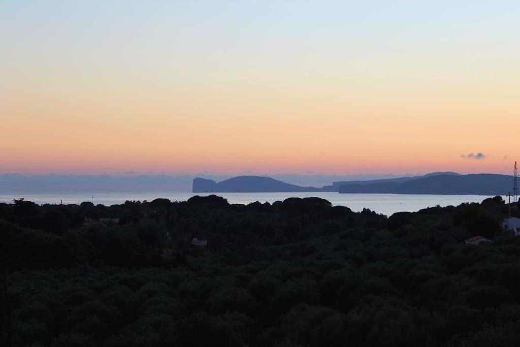 Villa Boeddu, Relax Tra Mare E Campagna Alghero Exteriör bild
